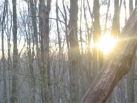 Wilderness Education in Yellow Springs, Ohio